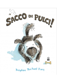 Sacco di pulci